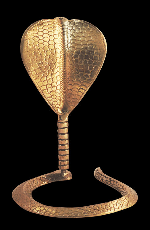 Brass Snake 0.82Kg